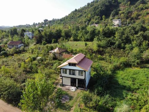 نیلوفر  سوستان