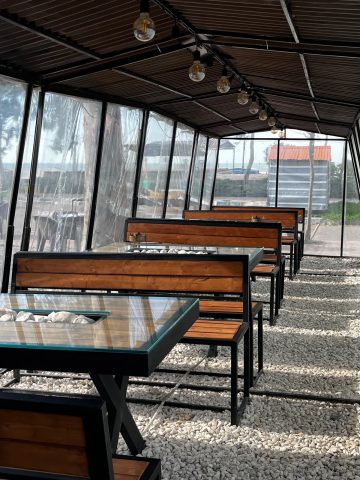 زیتون (16)