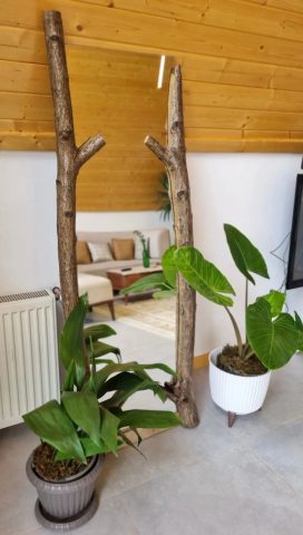 سوئیسی مدرن مدوبن