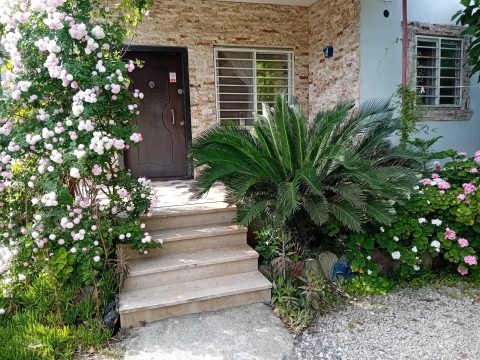 آوای طبیعت