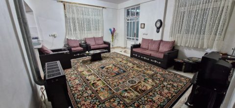 شادنشین