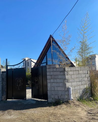 سوییسی لیلی