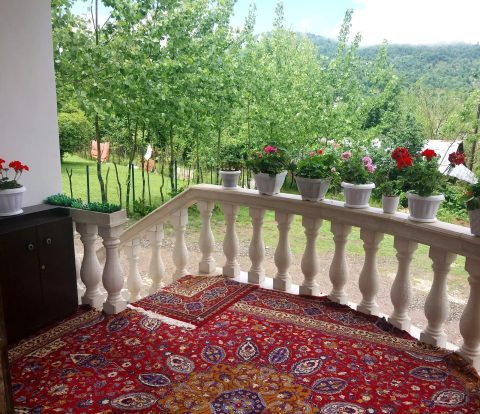 جنگلی‌ فاطیما (2)‌